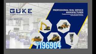 7196904 Seal Kit