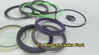 Hitachi Cylinder Seal Kit 4364912 
