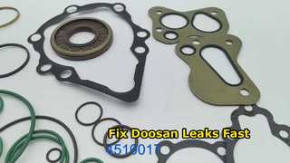 Danfoss  M46 Axial Piston  Pump  Seal Kit 4510017